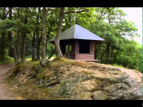 Rheinsteig bei Braubach