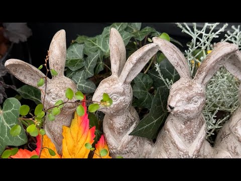 Miniatyrbild: Ullared BlomsterGruvan KRANSAR KANINER REA & FYND Oktober 2024 – Ullared haul på YouTube