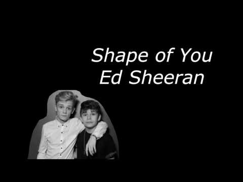 Shape of You - Ed Sheeran - Bars and Melody Cover - Lyrics
