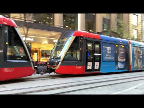 Royal Caribbean Cruises Light Rail X036/X035 George St