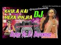 Dj Khula Hai Mera Pinjra (Dj Hard Dholki Mix ||