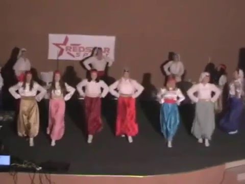 Udruženje žena BREZE ( Brezovo Polje)