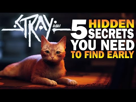 5 SECRETS You NEED To Find EARLY In Stray!