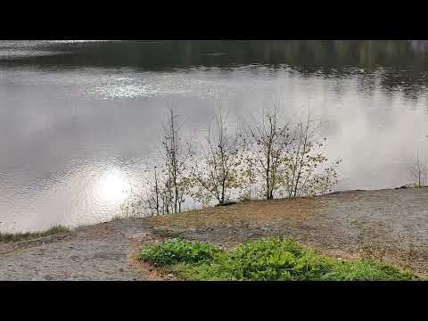 SKÄRSJÖN - Ronneby - badberget på norra sidan av sjön (KALLINGE) - 2023-10-07 - OnePlus 9 pro