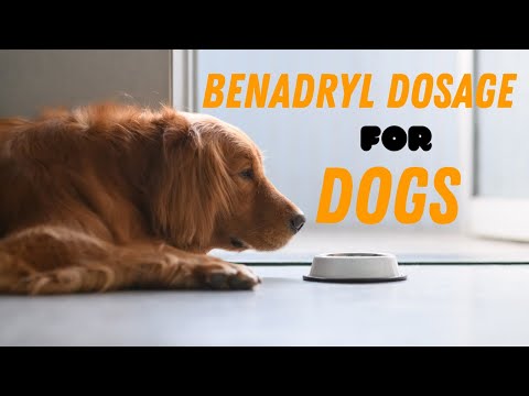 Benadryl Dosage For Dogs Guide