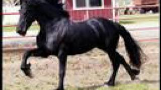 Me Gusta Estar Contigo - Sergio Vega