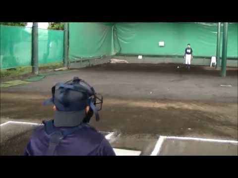 2015硬式野球