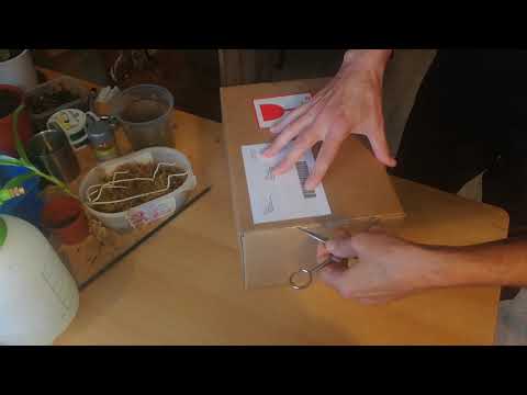 New orchids....shopping video tomorrow 😁 Thursday 4-6-20