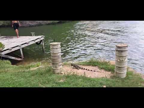 RESTAURANTE Show da Natureza - CÂNIONS do São Francisco OLHO D'ÁGUA DO CASADO Alagoas 