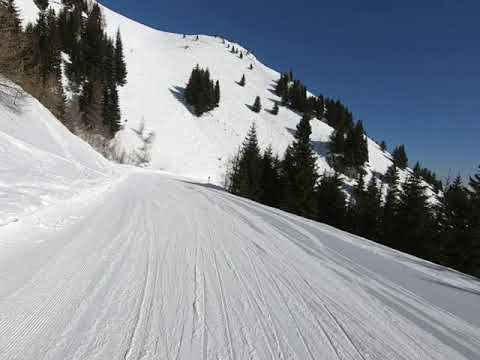 Cota 2000 * Drumul de Vara * Tarle  * Cota 1400