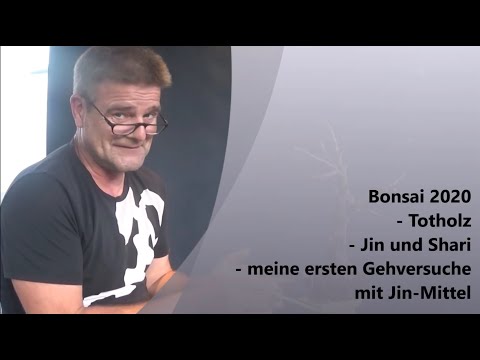 Bonsai 2020-55 - Deadwood - Jin and Shari - my first attempts with Jin remedies