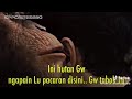 Orang Utan Melarang Untuk Pacaran