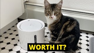 Petkit Eversweet Solo 2 Review: Best Cat Water Fountain 2023?