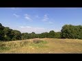 Epping Forest Retains Its Green Flag Award Status UK BBC London News 17th July 2019