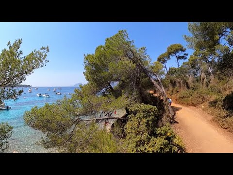 Nature Video 4K: Relaxation in the Mediterranean's pine forest with waves sounds & cicadas