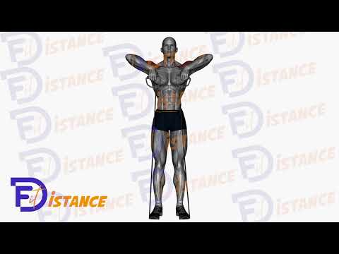 Rowing vertical menton avec élastique - Exercice Rowing vertical menton avec élastique en vidéo