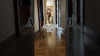 意識が低い所ではない社会人Vlog #ネタ動画 #あるある #vlog