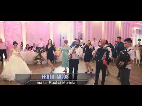 Fratii Milos  instrumentala 2019 Timisoara