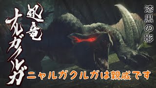 【モンスターハンターライズ】 里☆５ナルガクルガ
