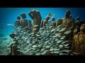 The Best 29 Jason Decaires Taylor Underwater Sculpture Locations