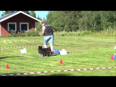 Ådi - nybörjarklass Sävsjö BK