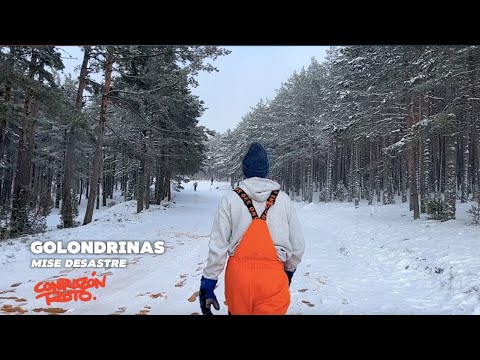 GOLONDRINAS - Mise Desastre