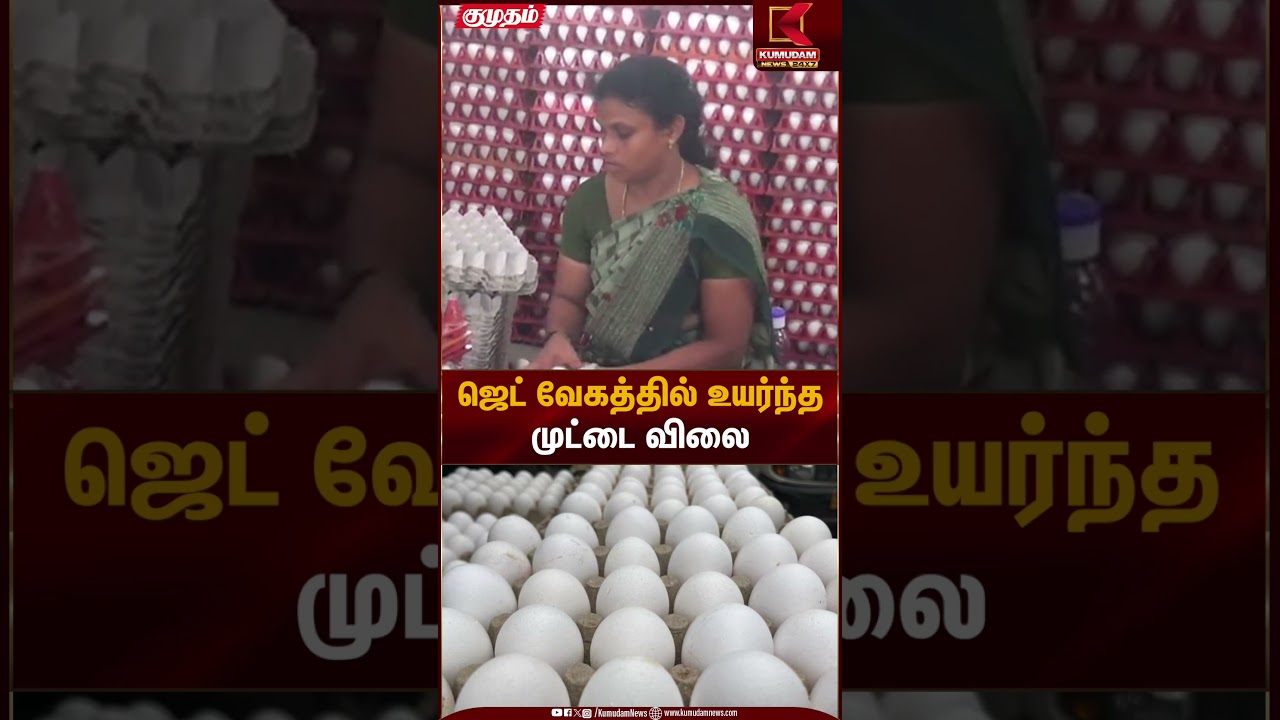 ஜெட் வேகத்தில் உயர்ந்த முட்டை விலை | Egg Price Hike | Kumudam News