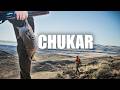Chukar Hunting In Nevada