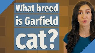 What breed is Garfield cat?