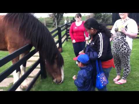 Akshith with horse_Finkley Down Farm