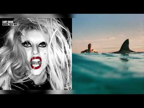 judas x training season | lady gaga & dua lipa [mashup]