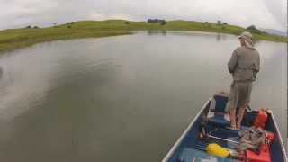 preview picture of video 'Gopro hero2 Caimanera pesca en Rio Verde'