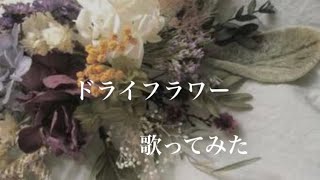 ドライフラワー歌ってみた