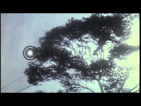 ARVN cadets slide down a rope and cross a rope bridge over a river at a training ...HD Stock Footage