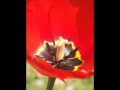 Jazzkantine - I was made for loving you (Kiss Cover ...