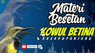 Download lagu MASTERAN SOGON MATERI BESETAN KOWUL BETINA PANJANG #sogon #sogongacor #sogokontonggacor #sogokontong mp3