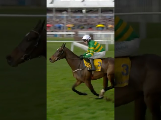 Thumbnail for Post ID: RWlQO97q8WI