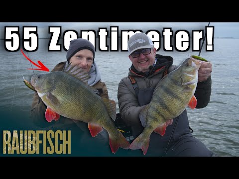 We catch the monster bass!