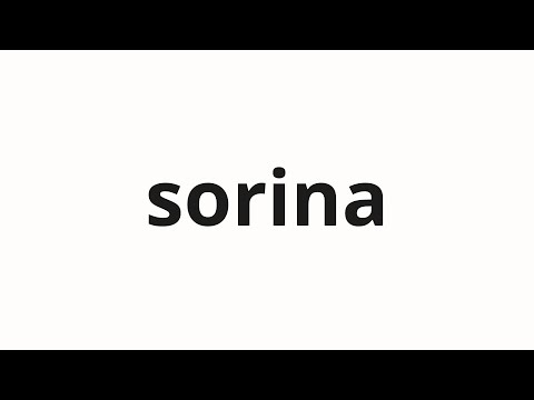 How to pronounce sorina | 소리나 (Is it sound? in Korean)