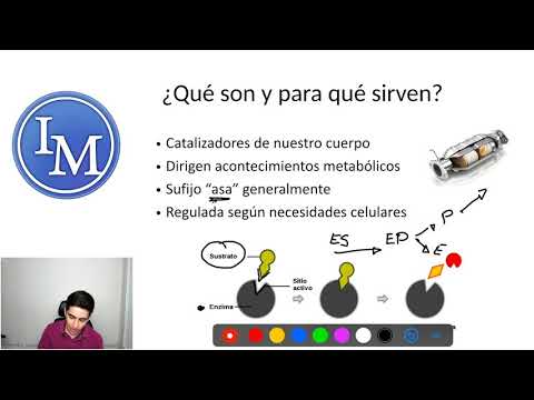 Biochemistry | Enzymes | Enzyme Catalysts