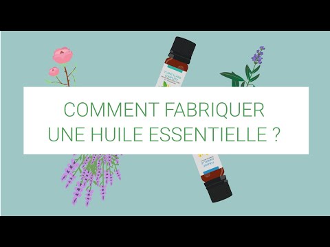 How to make an essential oil?