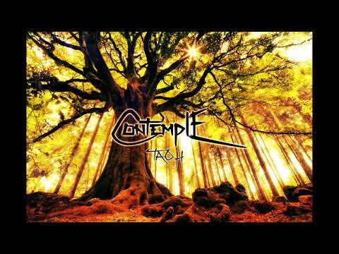 Tao H - Contemple [Free Download]