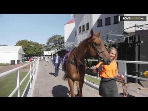 Gingernuts returns to Ellerslie for NZ Derby