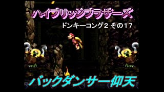 ドンキーコング２_その17[ハイブリッジブラザーズ]