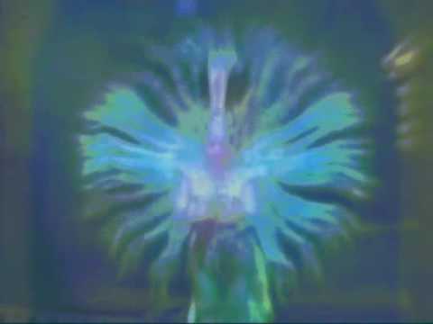 capitan delirio"mantra lullaby"