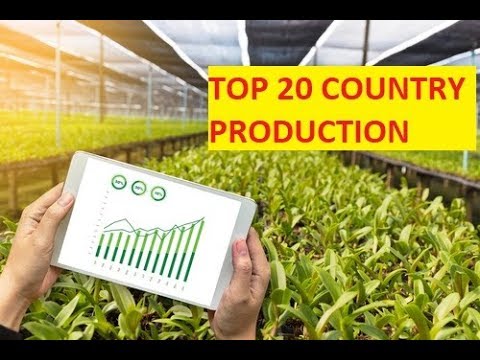 TOP20 COUNTRIES AGRICULTURE PRODUCTION