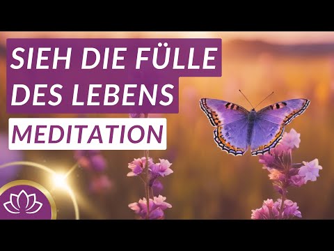 Öffne dein Herz für den Reichtum im Hier & Jetzt (Meditation 10/13)