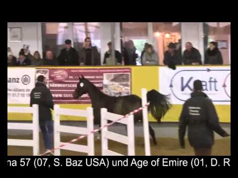 Mare, Stute v. Olympic Fire x Lord Incipit * 2011