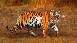 Blood Orange - On The Line (Star Slinger Edit)