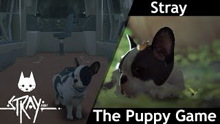 Quick Happy Puppy Mod schowcase in Stray you can play as a dog now
